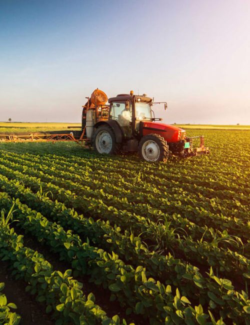 AGRICULTURE AGRICULTURE